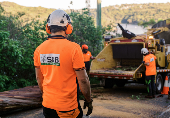 S&B Tree Services