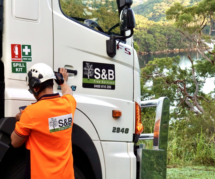 S&B Tree Services